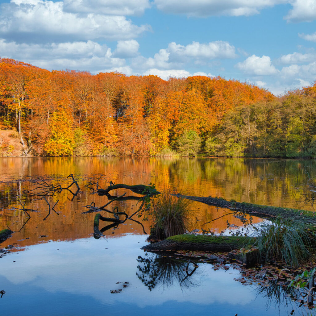 Herthasee und Herthaburg in der Nähe des Königsstuhls