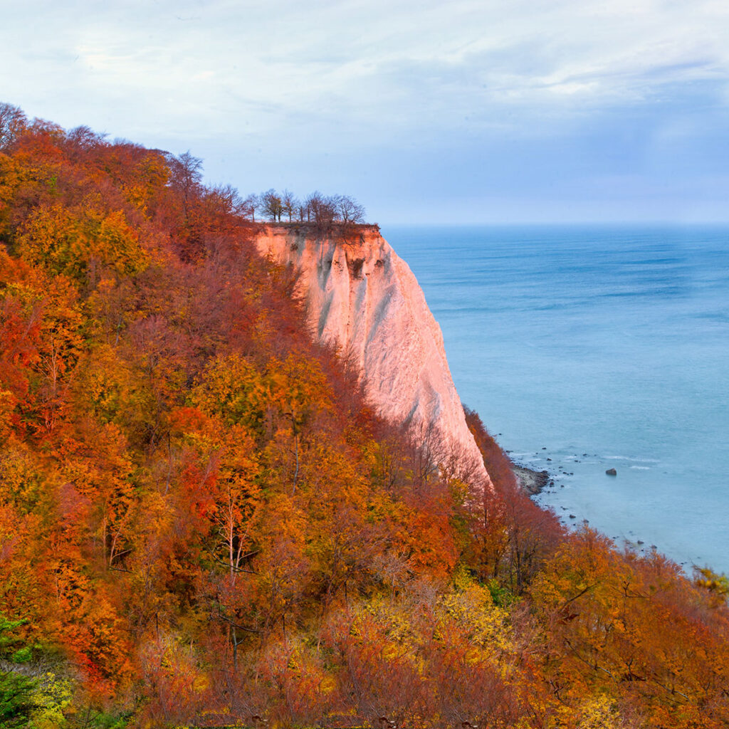Der Königsstuhl im Herbst