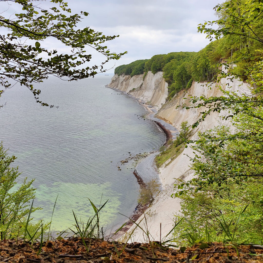 Die Kreidefelsen am Königsstuhl