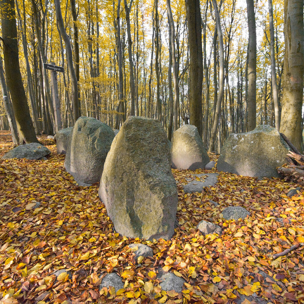 Das Pfenniggrab am Königsstuhl