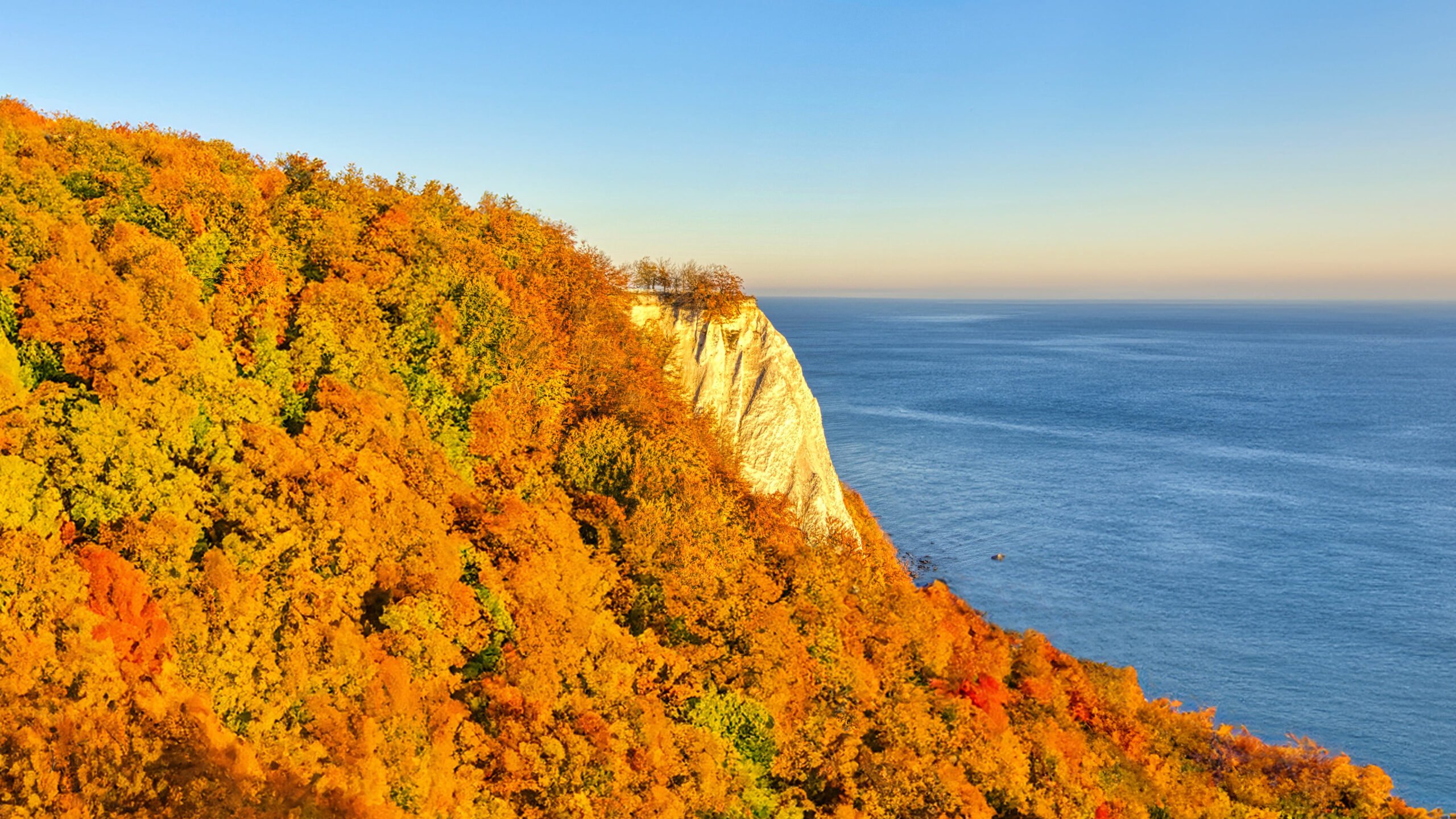 Der Königsstuhl Rügen Der Königsstuhl Rügen